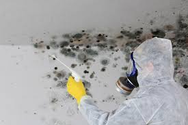 Reliable Bridgeport, NY Mold Remediation Solutions